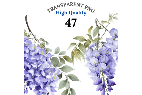 47 Wisteria Clipart Elements for Dreamy, Botanical Designs