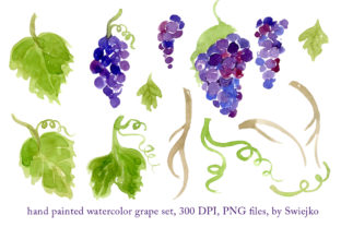 Watercolor Grapes, Hand Painted: A Fresh Design Asset